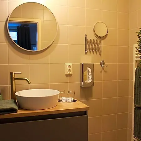 Hotel Altes Theater 4*